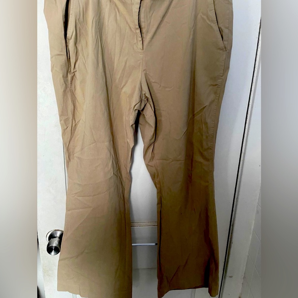 Lane Bryant Pant